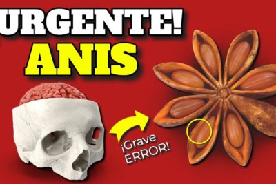 anis estrellado riesgos y beneficios guia completa