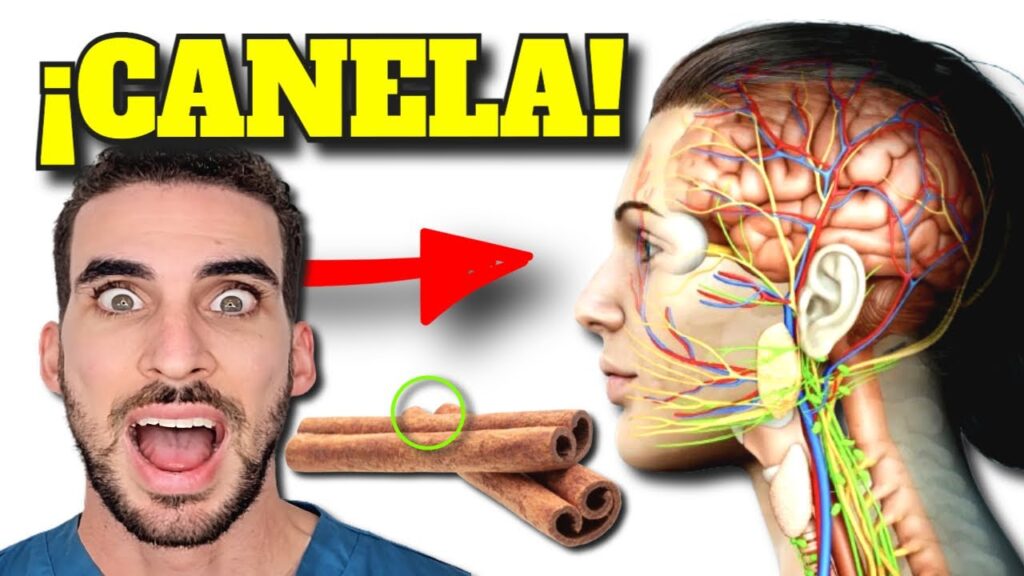 canela diaria descubre sus poderosos beneficios y tipos