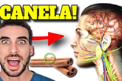 canela diaria descubre sus poderosos beneficios y tipos