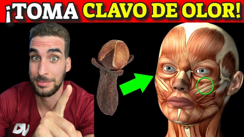 clavo de olor 2 clavos para una salud optima