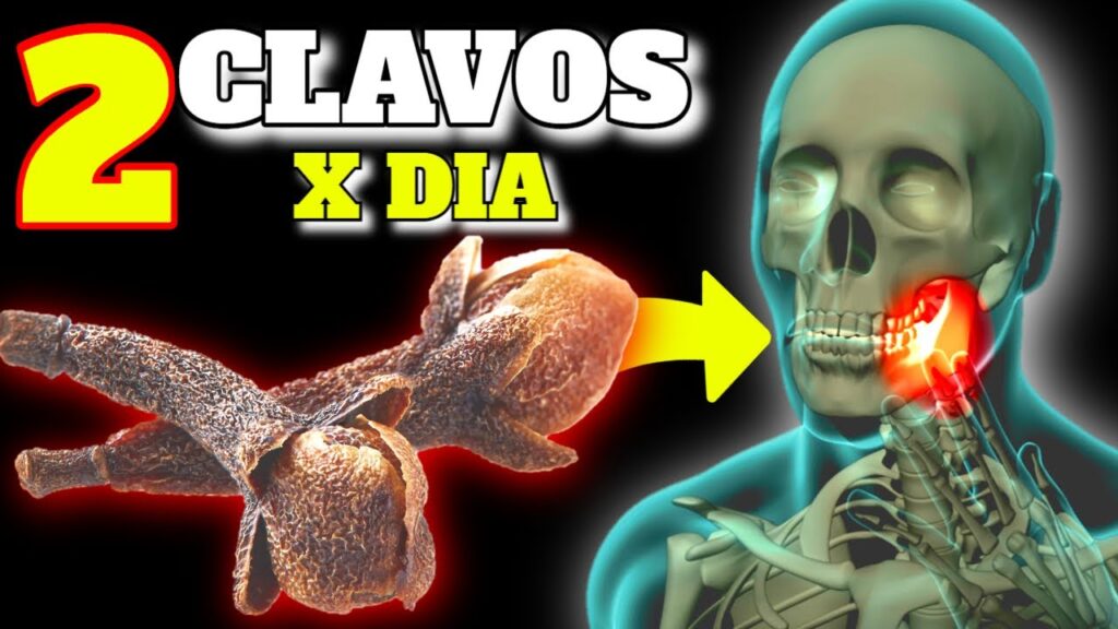 clavo de olor descubre sus increibles beneficios diarios