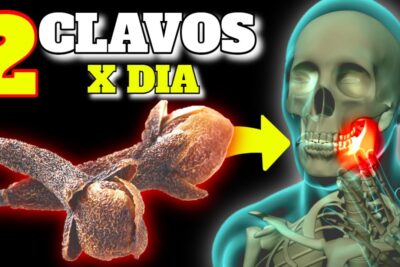 clavo de olor descubre sus increibles beneficios diarios