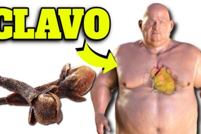 clavo de olor un tesoro escondido para la salud beneficios y riesgos