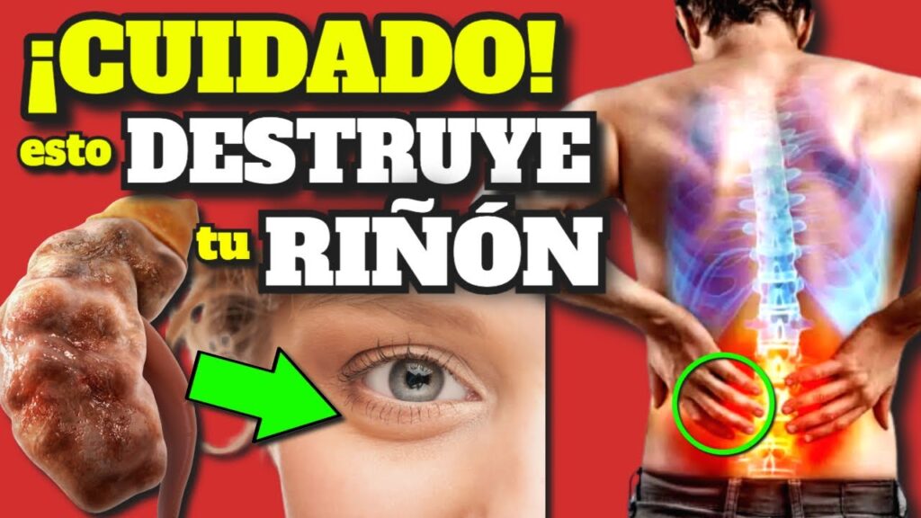 cuidado con tus rinones medicamentos peligrosos y alternativas