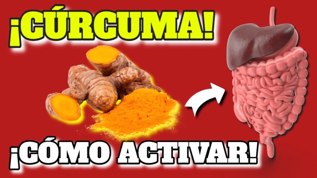 curcuma maximiza sus beneficios y mejora tu salud guia completa