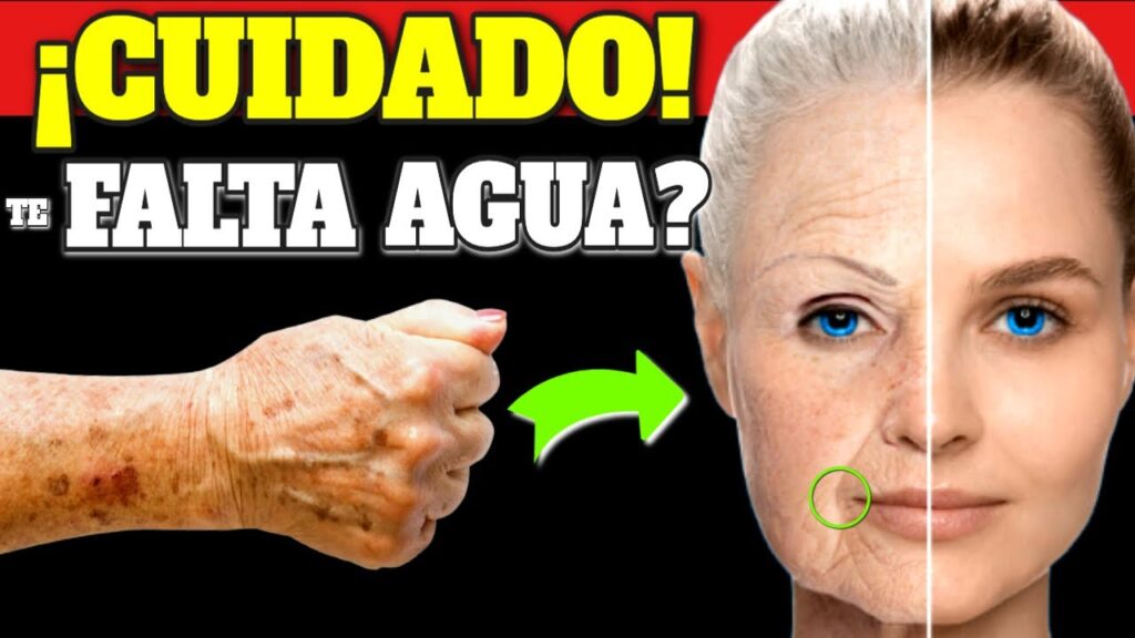 deshidratacion reconociendo las senales y manteniendo el equilibrio hidrico