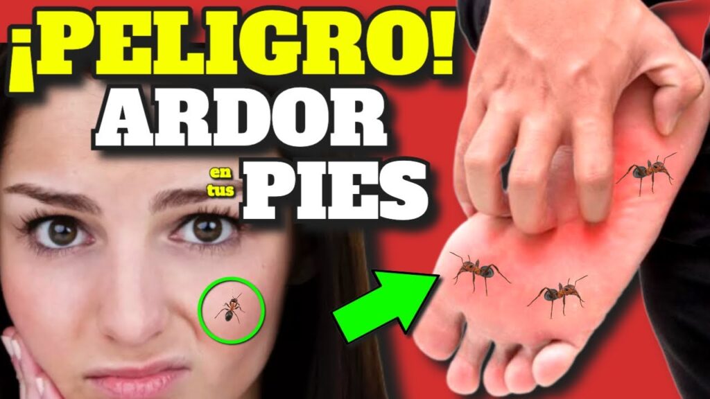 dolor y quemazon en pies y piernas causas y tratamientos