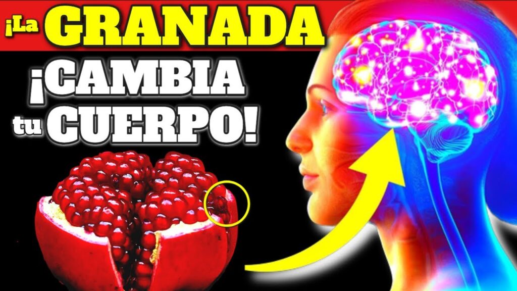 granada diaria transforma tu salud