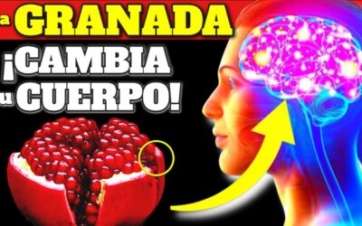 granada diaria transforma tu salud