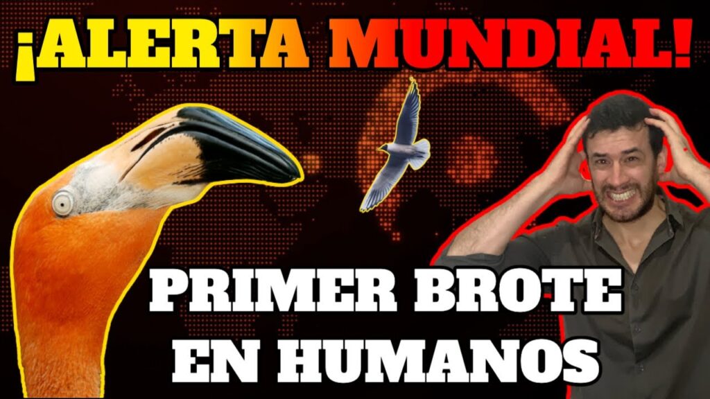 gripe aviar h5n8 en humanos alerta sanitaria y riesgo de pandemia