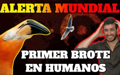 gripe aviar h5n8 en humanos alerta sanitaria y riesgo de pandemia