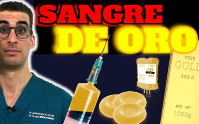 grupos sanguineos y sangre dorada guia completa