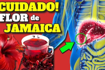 hibisco efectos poderosos y beneficios para tu salud