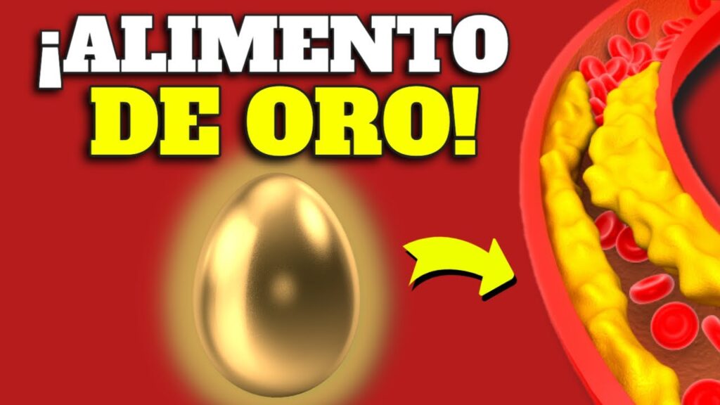 huevo beneficios y colesterol guia completa
