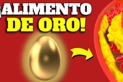 huevo beneficios y colesterol guia completa