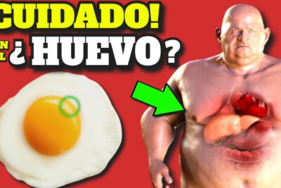 huevo hervido diario transforma tu salud