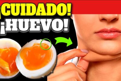 huevo poder nutricional y beneficios sorprendentes