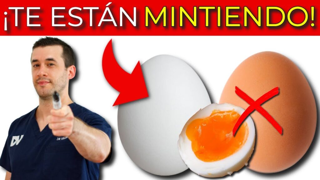 huevos saludables 10 mitos y verdades que debes conocer