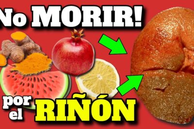 intoxicacion renal sintomas desintoxicacion y limpieza renal