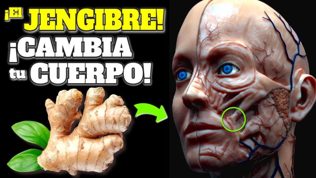 jengibre poder curativo impresionante para tu salud