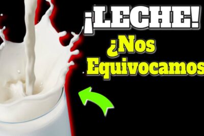 leche saludable o perjudicial una revision exhaustiva