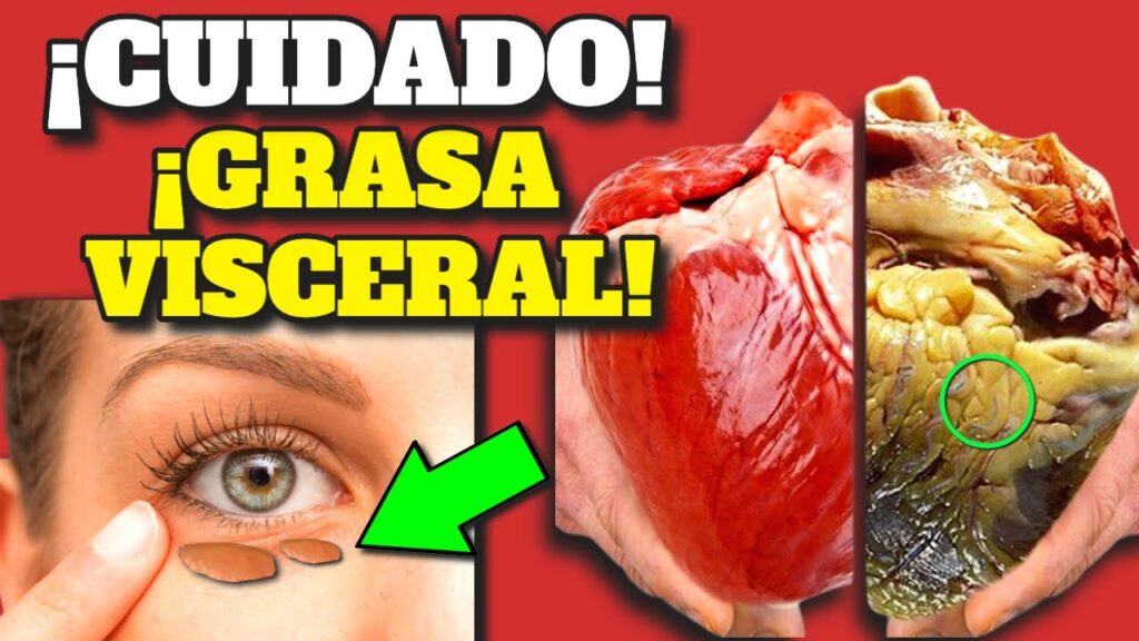 metabolismo acelerado reduce grasa abdominal en 60 dias