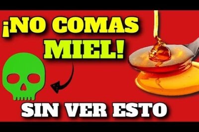 miel vs azucar realidad o mito sus beneficios guia completa