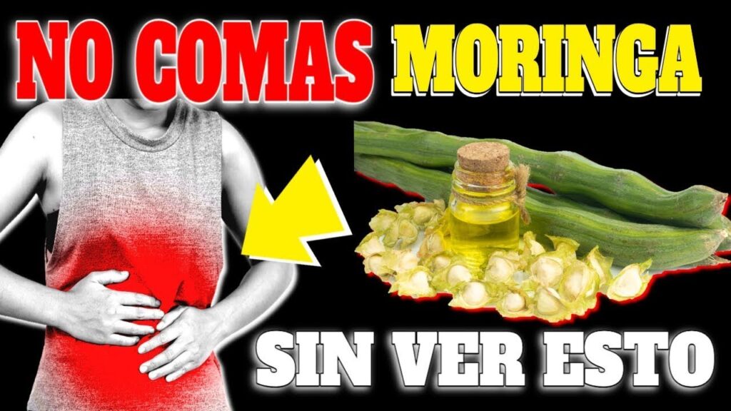 moringa 4 semanas para transformar tu salud