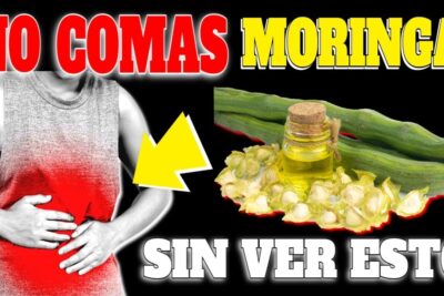 moringa 4 semanas para transformar tu salud