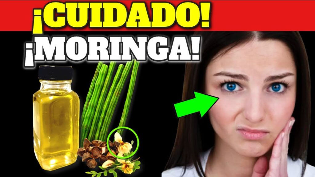 moringa el superalimento que necesitas para una salud optima