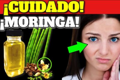 moringa el superalimento que necesitas para una salud optima