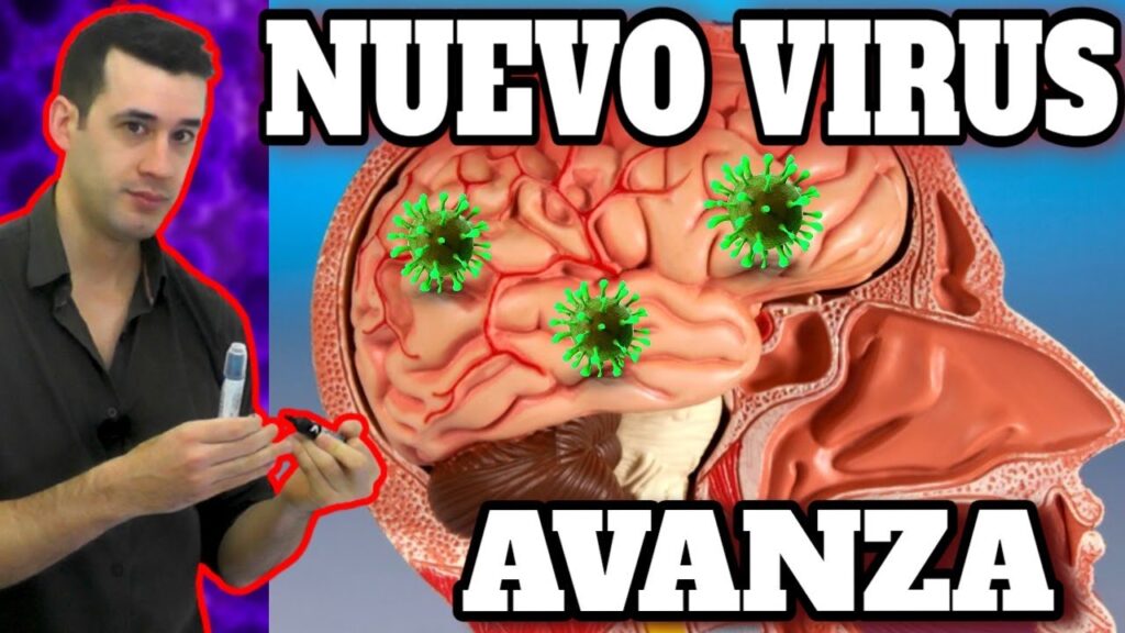 nipah virus riesgos sintomas y prevencion del virus mortal