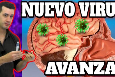 nipah virus riesgos sintomas y prevencion del virus mortal