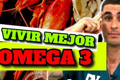 omega 3 riesgos y beneficios para una salud optima