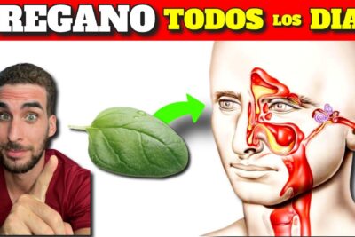 oregano poder antioxidante y beneficios para tu salud
