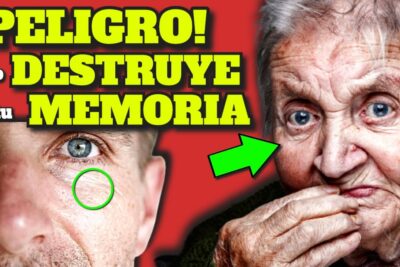 perdida de memoria y concentracion aumenta tu potencia cerebral