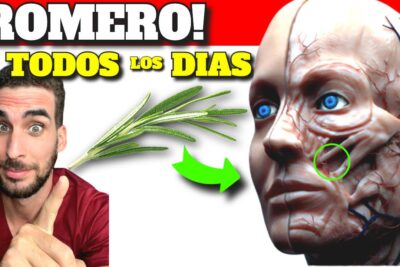 romero diario descubre sus increibles beneficios para tu salud
