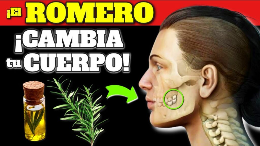 romero poder curativo y efectos asombrosos en tu salud