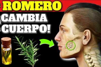 romero poder curativo y efectos asombrosos en tu salud