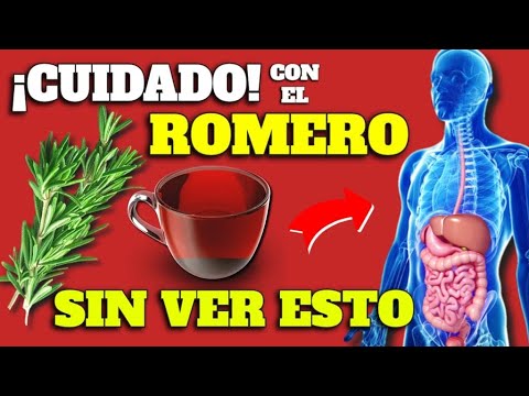 romero propiedades y beneficios del te para tu salud