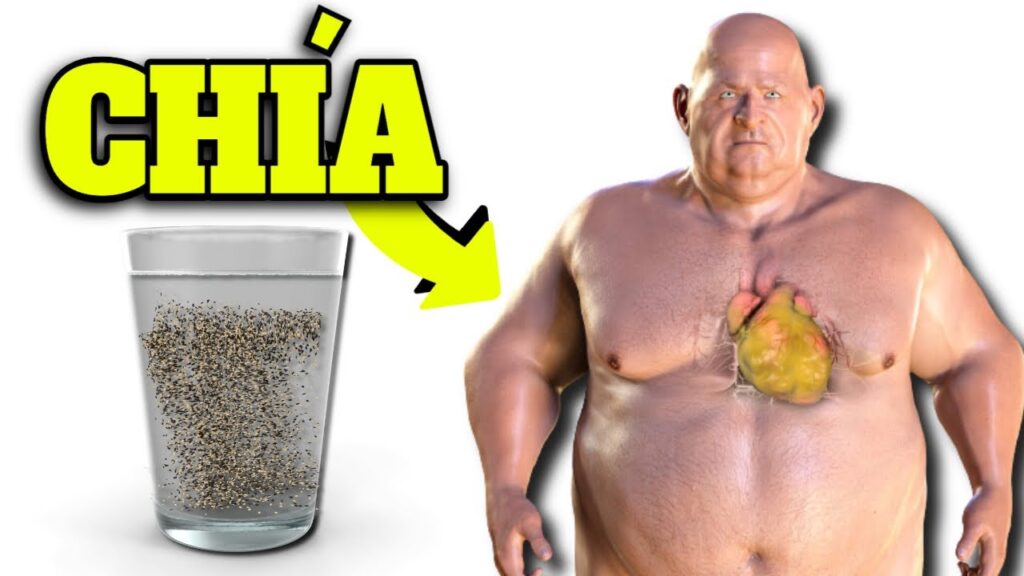 semillas de chia activa sus beneficios y propiedades