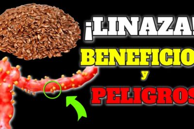 semillas de lino guia completa para un consumo optimo