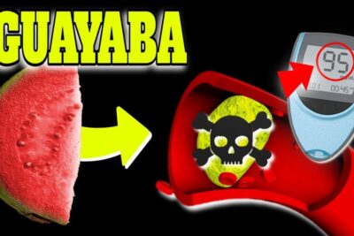 te de guayaba descubre sus increibles beneficios para la salud