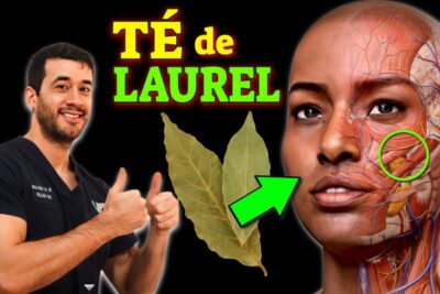 te de laurel enfermedades que cura y como prepararlo