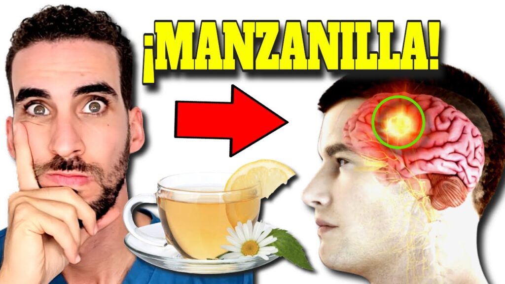 te de manzanilla para dormir beneficios y guia completa