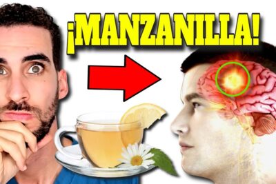 te de manzanilla para dormir beneficios y guia completa