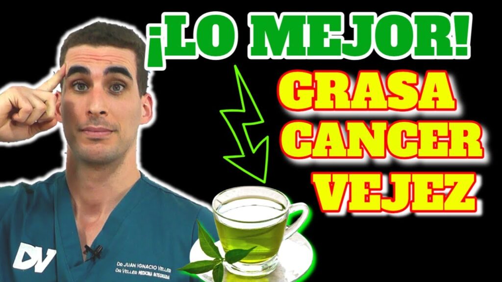 te verde 4 beneficios increibles para tu salud dr vela