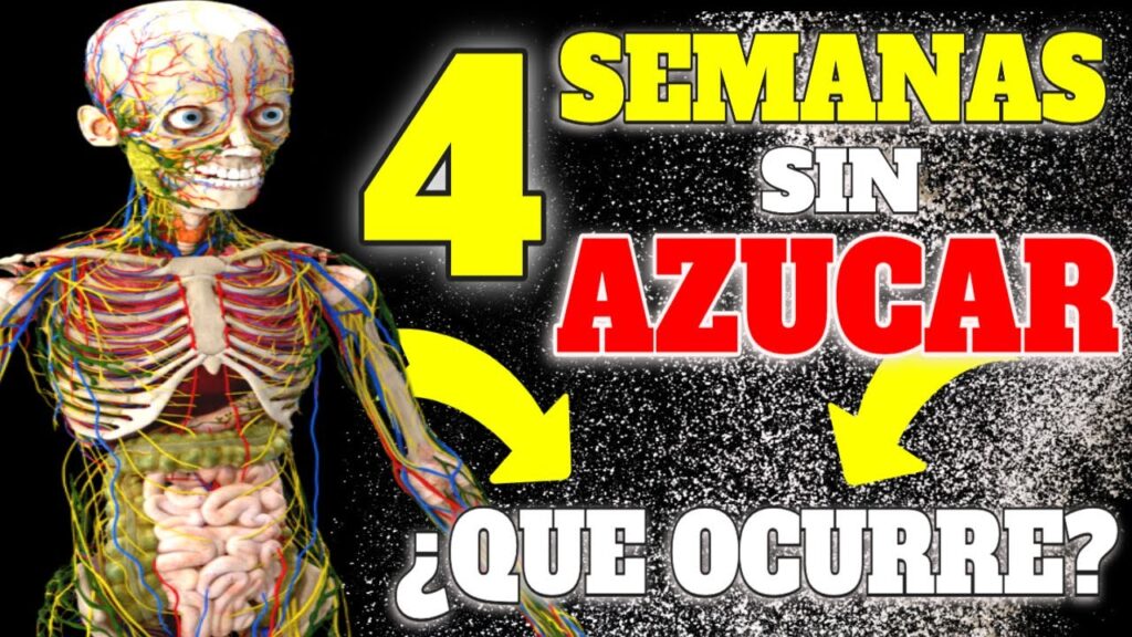 transforma tu metabolismo 4 semanas sin azucar y sus resultados