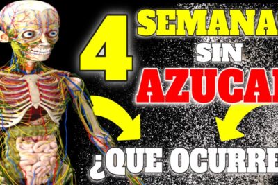 transforma tu metabolismo 4 semanas sin azucar y sus resultados