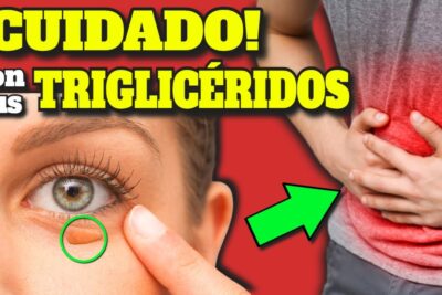trigliceridos altos guia completa para bajar y prevenir